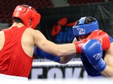 petrovboxing.com